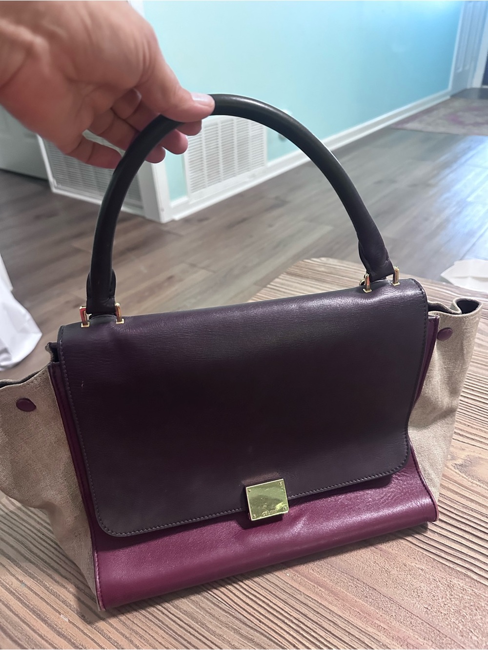 Celine Trapeze Colorblock Leather & Canvas Satchel Crossbody Bag